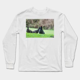 ring necked pheasant 3 +3 Long Sleeve T-Shirt